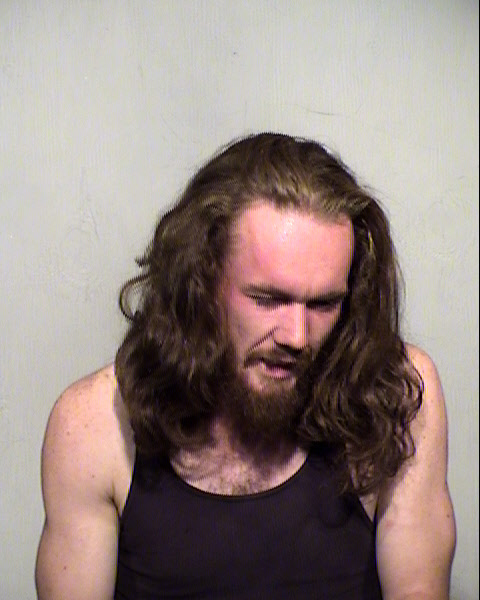 STEVEN PATRICK LAING Mugshot / Maricopa County Arrests / Maricopa County Arizona