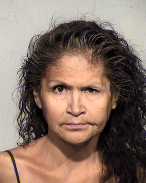 TERESA LEIGH TSOSIE HASTINGS Mugshot / Maricopa County Arrests / Maricopa County Arizona