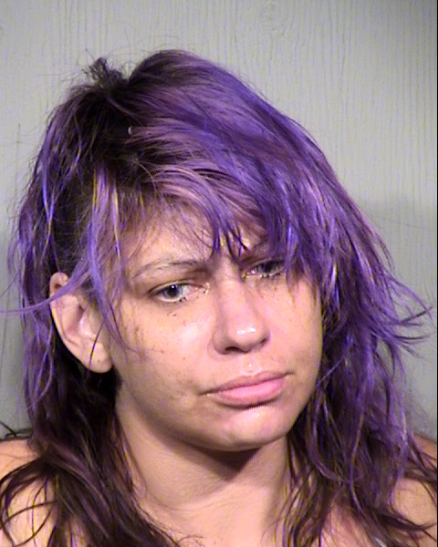 JENNIFER BROOKE HEEDE Mugshot / Maricopa County Arrests / Maricopa County Arizona