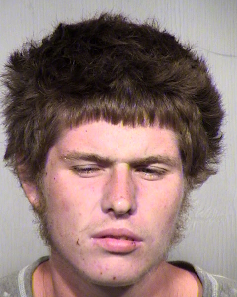 TYLER JAMES MCDONNELL Mugshot / Maricopa County Arrests / Maricopa County Arizona