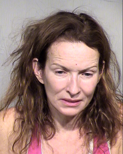 ROBIN I MCGLOTHIN Mugshot / Maricopa County Arrests / Maricopa County Arizona