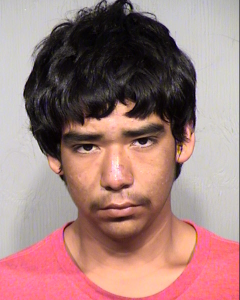 GUADALUPE XAVIER TORRES Mugshot / Maricopa County Arrests / Maricopa County Arizona