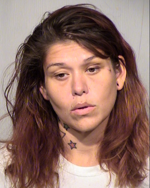 RACHEL MARIA ANNE FENZEL Mugshot / Maricopa County Arrests / Maricopa County Arizona