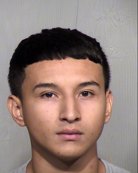 ANTHONY APODACA Mugshot / Maricopa County Arrests / Maricopa County Arizona