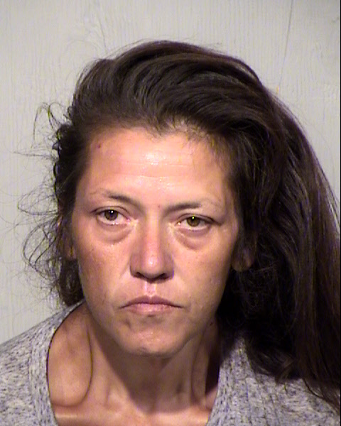MARY L HINDS Mugshot / Maricopa County Arrests / Maricopa County Arizona Arrests MARY L HINDS Mugshot / Maricopa County Arrests / Maricopa County Arizona