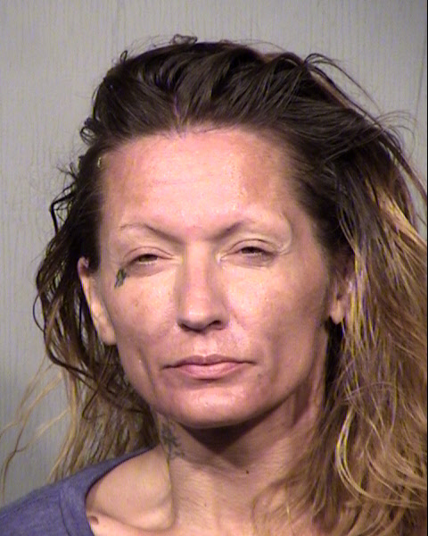 FAITH ANN DIAZ Mugshot / Maricopa County Arrests / Maricopa County Arizona
