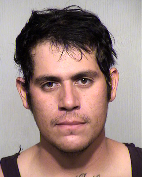 ALFONSO HOLGUIN Mugshot / Maricopa County Arrests / Maricopa County Arizona