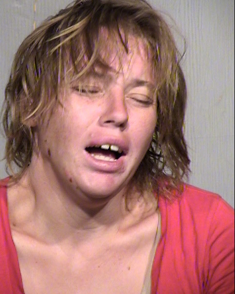 SHARON LOUISE SCHOLIN Mugshot / Maricopa County Arrests / Maricopa County Arizona