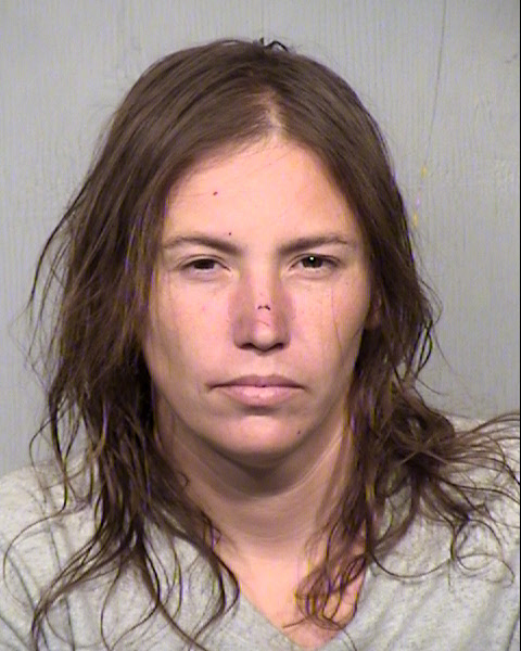 ELIZABETH MARTINEK Mugshot / Maricopa County Arrests / Maricopa County Arizona