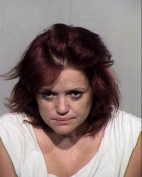 ELLEN LOUISE CASSIDY Mugshot / Maricopa County Arrests / Maricopa County Arizona