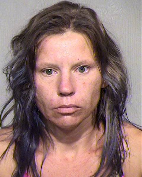 HEIDI DAWN MINEER Mugshot / Maricopa County Arrests / Maricopa County Arizona