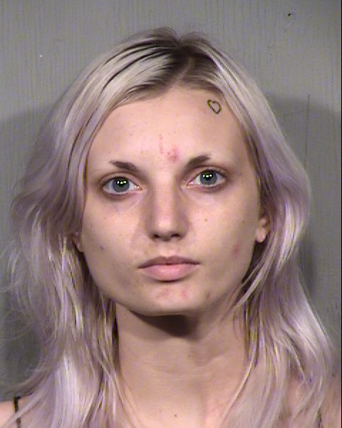 SARAH JANE WILLIAMS Mugshot / Maricopa County Arrests / Maricopa County Arizona