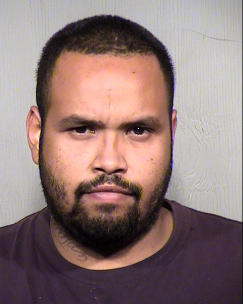 TONY LEE RIGGINS Mugshot / Maricopa County Arrests / Maricopa County Arizona