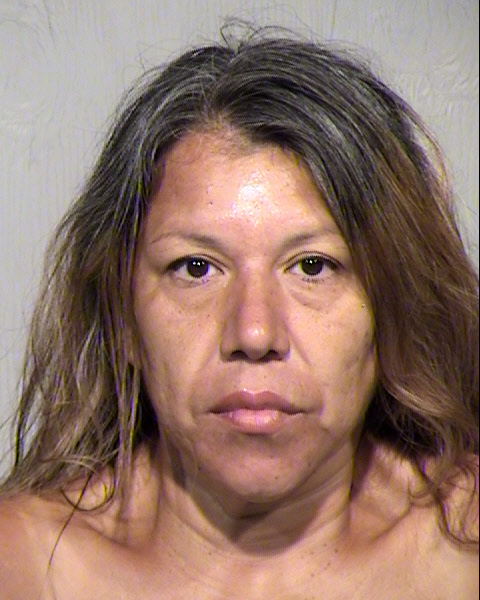 JOSEFINA SILVAS ROCHA Mugshot / Maricopa County Arrests / Maricopa County Arizona