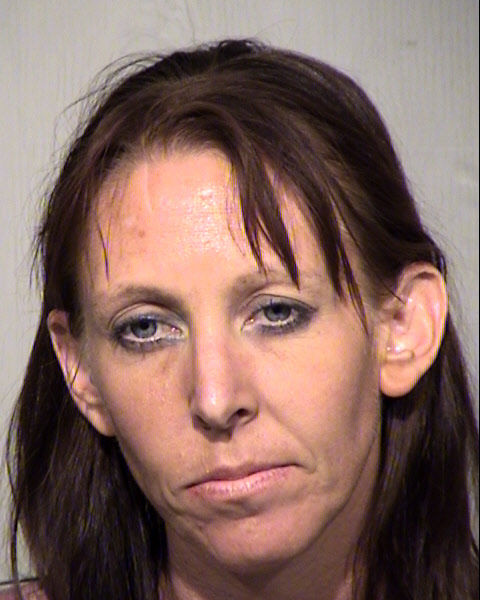 SHANNON MICHELE YOUNG Mugshot / Maricopa County Arrests / Maricopa County Arizona