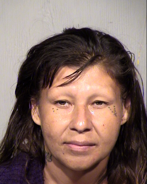 TEODORA MARIE HERNANDEZ Mugshot / Maricopa County Arrests / Maricopa County Arizona