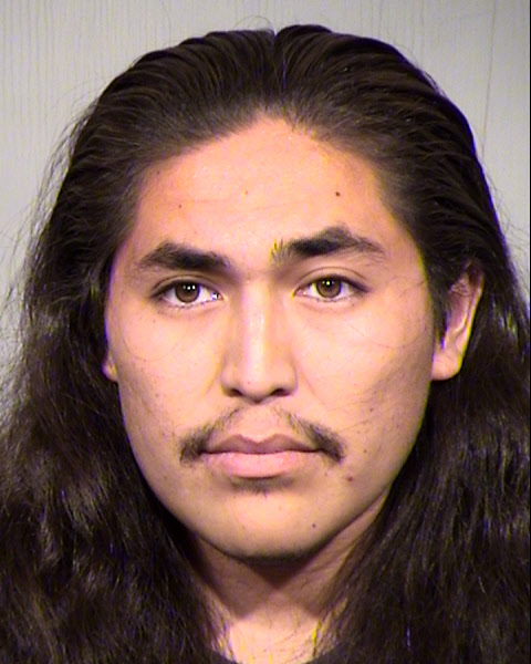 RYAN WESLEY VEALE Mugshot / Maricopa County Arrests / Maricopa County Arizona