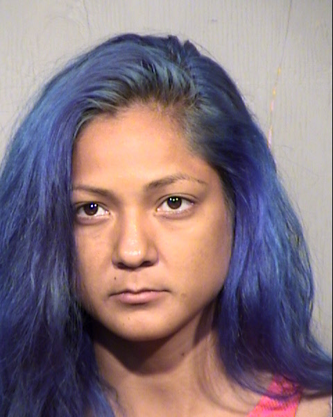 ANA MARIA NEVAREZ Mugshot / Maricopa County Arrests / Maricopa County Arizona