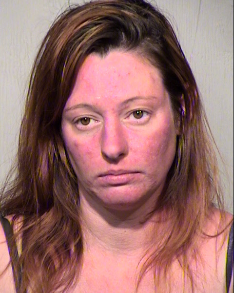 SARAH ANN LEECH Mugshot / Maricopa County Arrests / Maricopa County Arizona