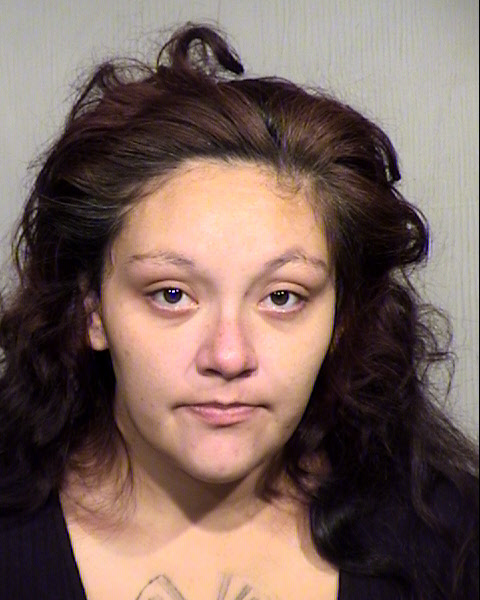 MICHELLE ANNE LEWIS Mugshot / Maricopa County Arrests / Maricopa County Arizona