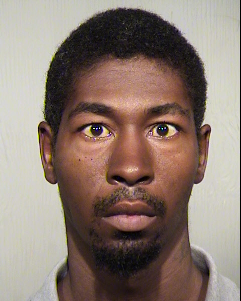 JOSHUA LEVEL WILSON Mugshot / Maricopa County Arrests / Maricopa County Arizona