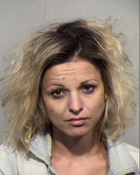 LJILJANA M RADOVANOVIC Mugshot / Maricopa County Arrests / Maricopa County Arizona