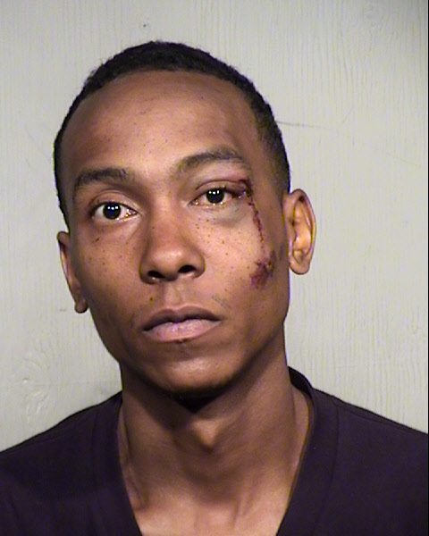 THEODORE ANDERSON Mugshot / Maricopa County Arrests / Maricopa County Arizona