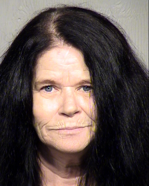 SUZANNE KNIGHT Mugshot / Maricopa County Arrests / Maricopa County Arizona