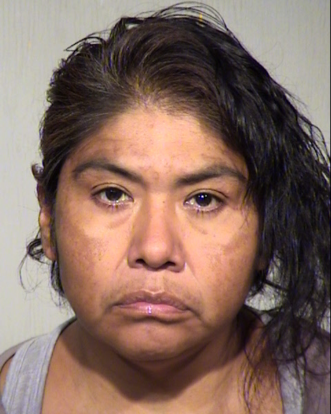 MICHELE SULLIVAN Mugshot / Maricopa County Arrests / Maricopa County Arizona