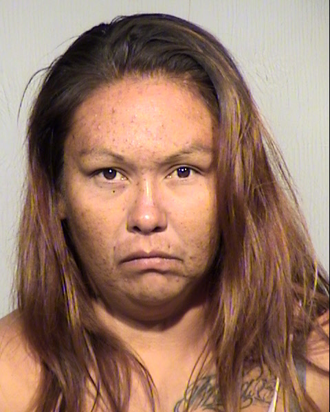 VANESSA FRANCES JAMES Mugshot / Maricopa County Arrests / Maricopa County Arizona