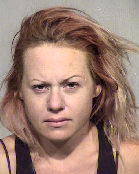JENIFER ANNE LEWIS Mugshot / Maricopa County Arrests / Maricopa County Arizona
