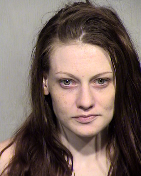 MEGAN ELIZABETH SANDS Mugshot / Maricopa County Arrests / Maricopa County Arizona