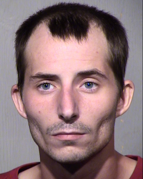 WALTER TRAVIS GOODMAN Mugshot / Maricopa County Arrests / Maricopa County Arizona