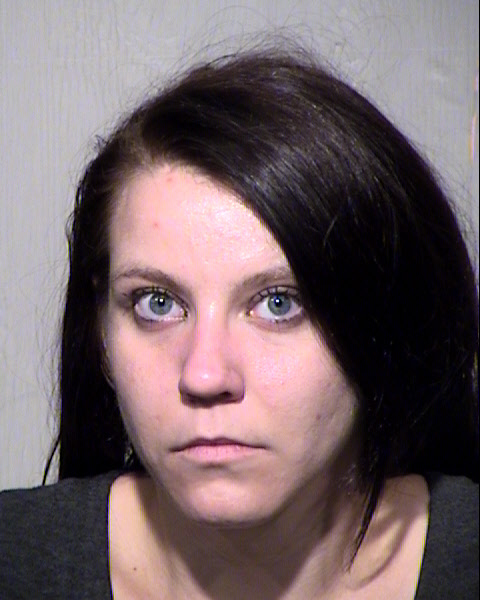 AMANDA LYNN HANSON Mugshot / Maricopa County Arrests / Maricopa County Arizona