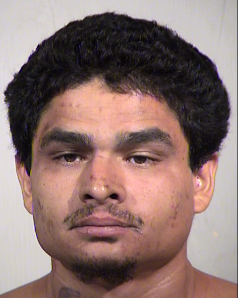 IGNACIO MANUEL METZGAR Mugshot / Maricopa County Arrests / Maricopa County Arizona