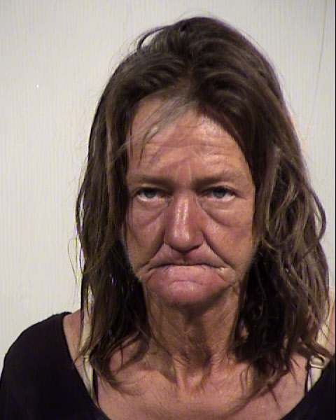 LAURA LEE LAMB Mugshot / Maricopa County Arrests / Maricopa County Arizona