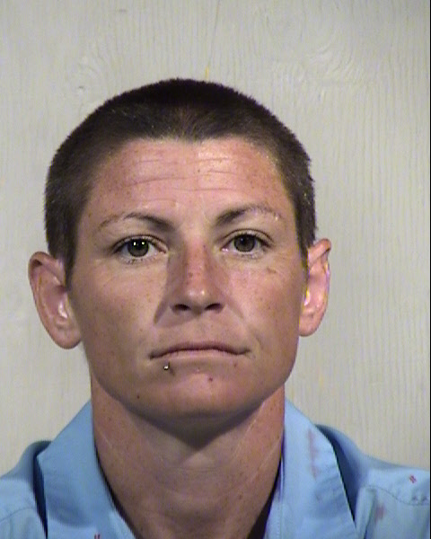 ASHLEY ELIZABETH POLLEY Mugshot / Maricopa County Arrests / Maricopa County Arizona