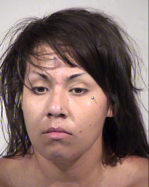 IRENE ALINA DELGADO Mugshot / Maricopa County Arrests / Maricopa County Arizona