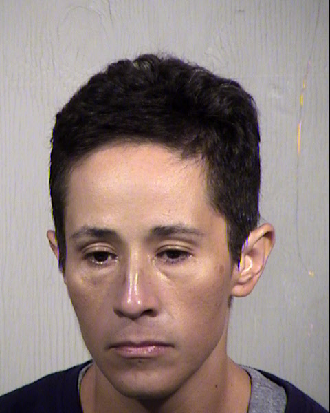 MICHELLE DIANE FAVELA Mugshot / Maricopa County Arrests / Maricopa County Arizona