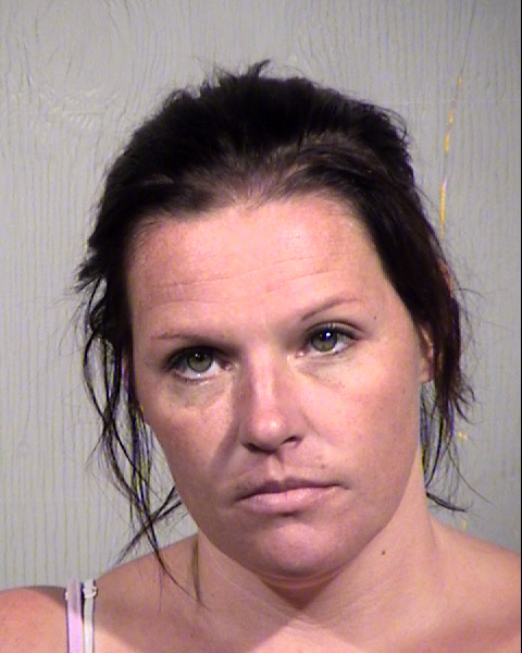 ROBIN LOUISE HIEN Mugshot / Maricopa County Arrests / Maricopa County Arizona