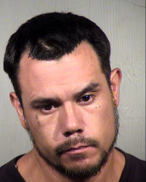 RICHARD LEE HANKINS Mugshot / Maricopa County Arrests / Maricopa County Arizona