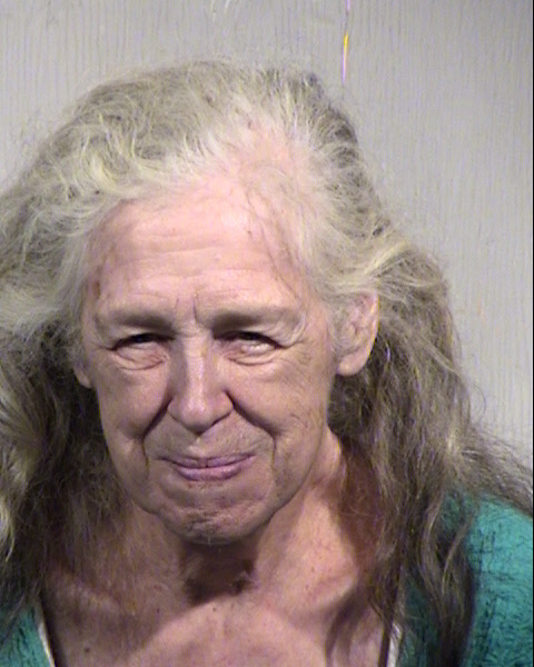 SUSAN RUTH STARK Mugshot / Maricopa County Arrests / Maricopa County Arizona
