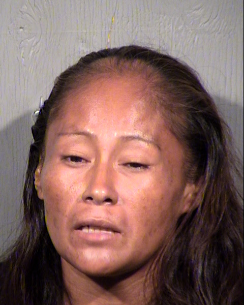 AMELIA E FRITZ Mugshot / Maricopa County Arrests / Maricopa County Arizona