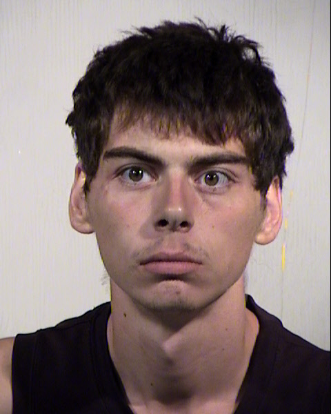 ROBERT LAWRANCE HINSCH Mugshot / Maricopa County Arrests / Maricopa County Arizona