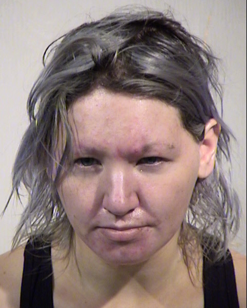 CAROLINE MEEHAN COSTER Mugshot / Maricopa County Arrests / Maricopa County Arizona
