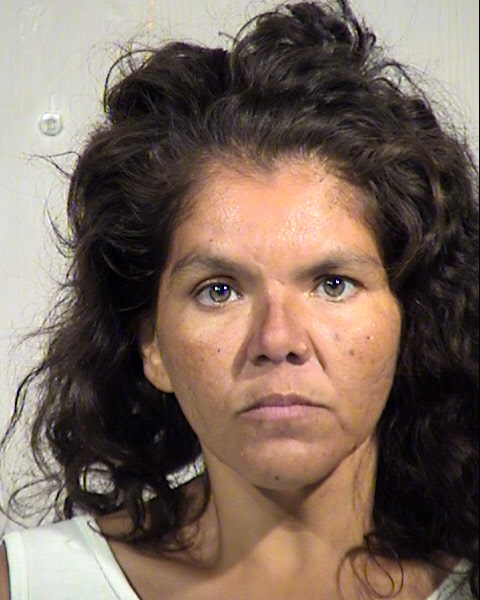 ANNA R MENDOZA PINA Mugshot / Maricopa County Arrests / Maricopa County Arizona