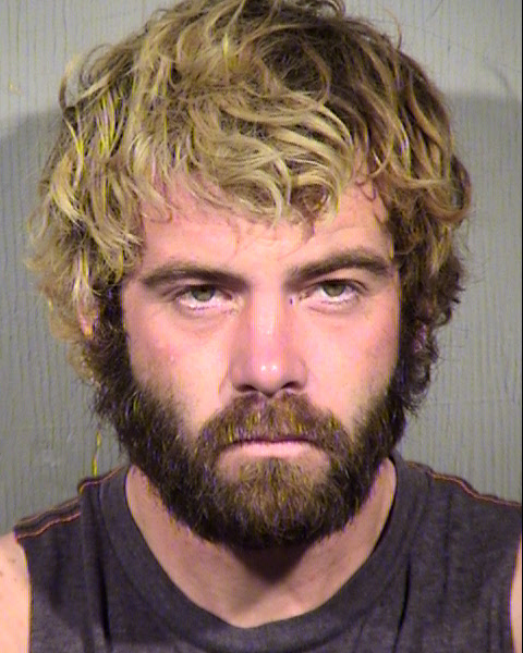 BRYAN CHRISTOPHER ROBINS Mugshot / Maricopa County Arrests / Maricopa County Arizona