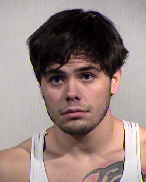 RYLEY CHRISTOPHER PRZYBYSZEWSKI Mugshot / Maricopa County Arrests / Maricopa County Arizona