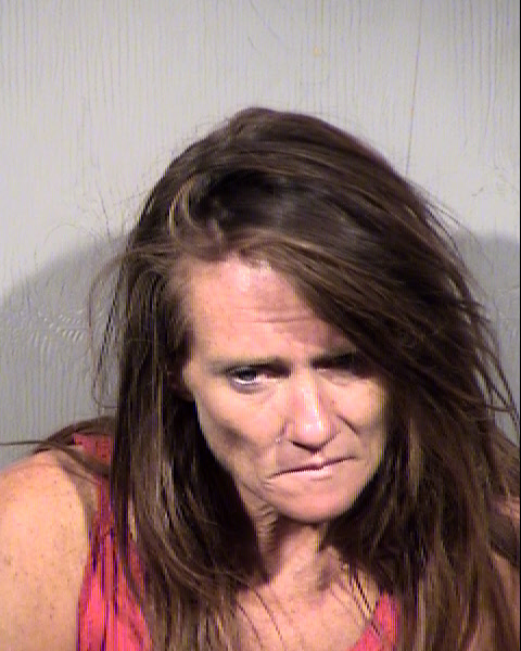 ANITA HELEN SUMLIN Mugshot / Maricopa County Arrests / Maricopa County Arizona