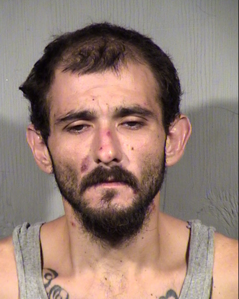 WILLIAM JOSEPH ROWAN Mugshot / Maricopa County Arrests / Maricopa County Arizona